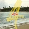 4 Life - Anonimus lyrics