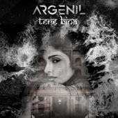 Tere Bina artwork