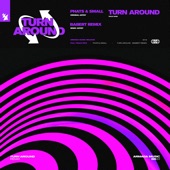 Turn Around (Hey What's Wrong With You) [Babert Extended Remix] artwork