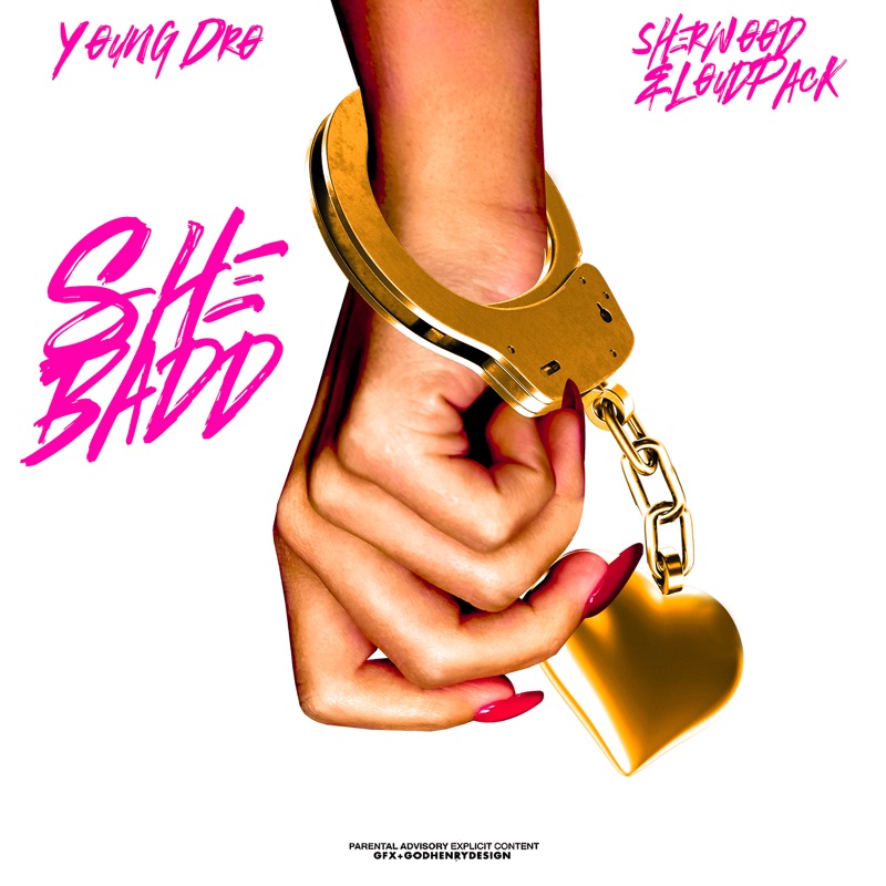 Shadowrun Sherwood & Pinch Shazam