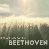 Relaxing with Beethoven artwork