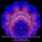 Active Agent of the Universe - infinitereality lyrics