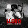 Lloro - Single album lyrics, reviews, download