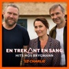 En Trekant En Sang 2 - Hits Hos Brygmann - Single