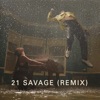 Show Me Love (Remix) [feat. 21 Savage & Miguel] - Single, 2019