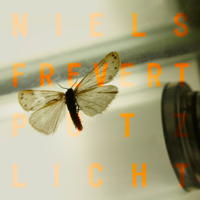 Niels Frevert - Putzlicht artwork