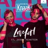 Lovefool by Robin Knaak iTunes Track 1