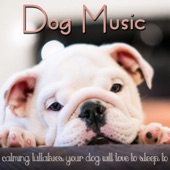 Dog Music: Calming Lullabies Your Dog Will Love to Sleep To artwork