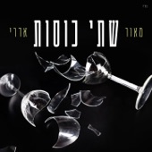 שתי כוסות artwork