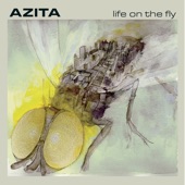 AZITA - Wasn't In The Bargain