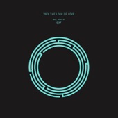 The Look of Love artwork