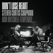 Don't Lose Heart artwork