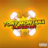 Tony Montana artwork