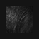 For Sudden - Deft