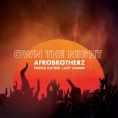 Own the Night (feat. Prince Kaybee & Lady Zamar) artwork