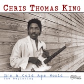 Chris Thomas King - You'll Be Sorry, Babe