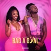 Bag a Gyal - Single