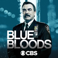 Blue Bloods Season 10 English Subtitles Episodes 1 21 Download Netraptor Subtitles