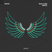 Volar La Pluma (Andrea Oliva Remix) artwork