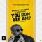 You Don See Am? - Baddest Dj Timmy lyrics