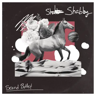 Shabby - Single - Sound Bullet