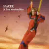Spacer (A Tom Moulton Mix) - Single album lyrics, reviews, download