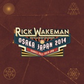 Osaka Japan 2014 - Live artwork