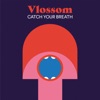 Catch Your Breath by Vlossom iTunes Track 1