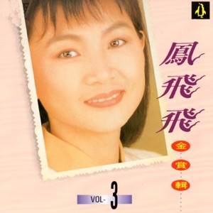 Feng Fei Fei (鳳飛飛) - Mei Gui Mei Gui Wo Ai Ni (玫瑰玫瑰我愛你) - Line Dance Musik