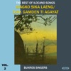 Biagko Sika Laeng / Diak Gamden Ti Agayat, Vol. 2 (The Best of Ilocano Songs)