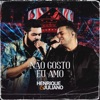 Não Gosto Eu Amo by Henrique & Juliano iTunes Track 1