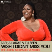 Wish I Didn't Miss You (John Morales M+M Radio Edit) artwork