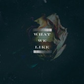 What We Like artwork