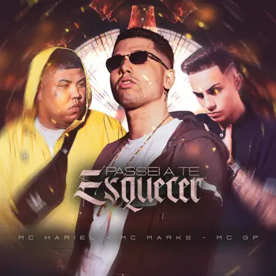 Passei a Te Esquecer - Single - MC Hariel