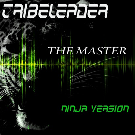 The Master (Ninja Version)