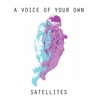 Satellites