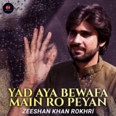 Yad Aya Bewafa Main Ro Peyan artwork