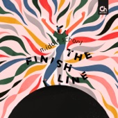 The Finish Line (feat. Mitchel Forman) artwork