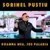 Doamna mea, Jos palaria - Single