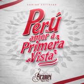 Perú, Amor a Primera Vista artwork