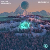 Don't Know You artwork