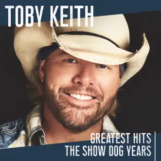 Made in America by Toby Keith song reviws