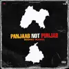 Panjaab Not Punjab - Single album lyrics, reviews, download