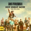 Hot Right Now (feat. Rita Ora) - Single, 2012