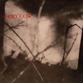 Holy Cow - Work