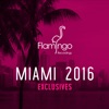 Flamingo Miami 2016 (Specials) - EP