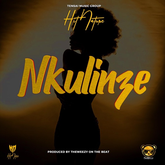 Cover artwork for Nkulinze