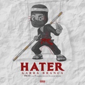 Hater artwork