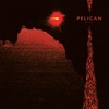 Pelican cover