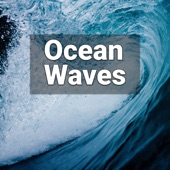 Ocean Waves Seawash Sound artwork